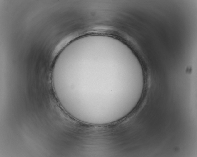 X0000111611362200907171029