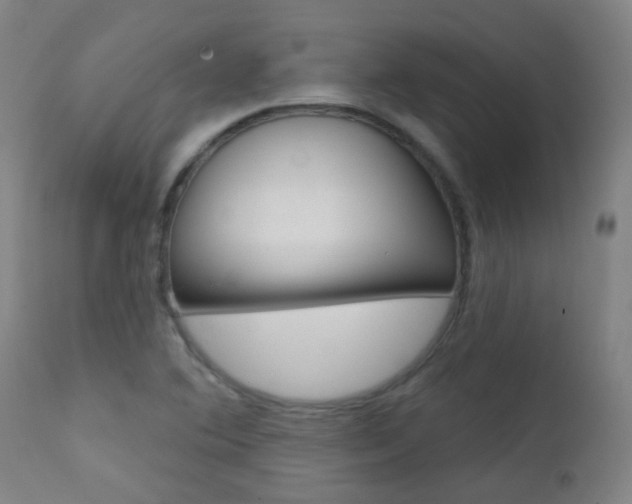 X0000111611364200907171029