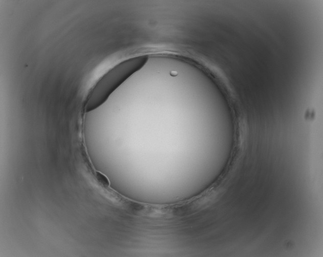 X0000111611365200907171029
