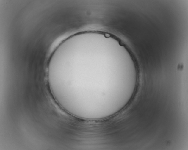 X0000111611366200907171029