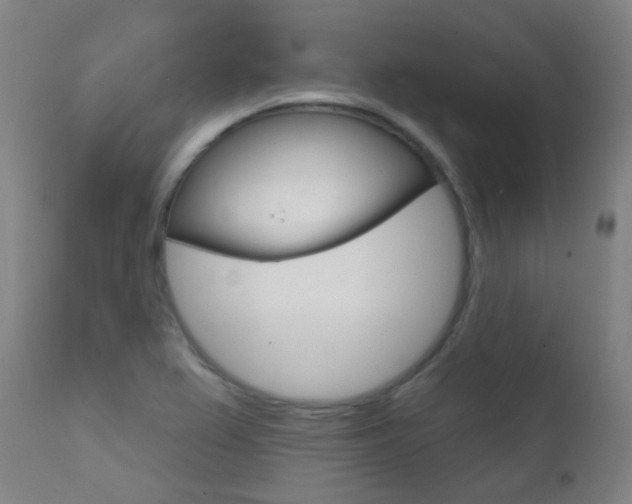 X0000111611367200907171029