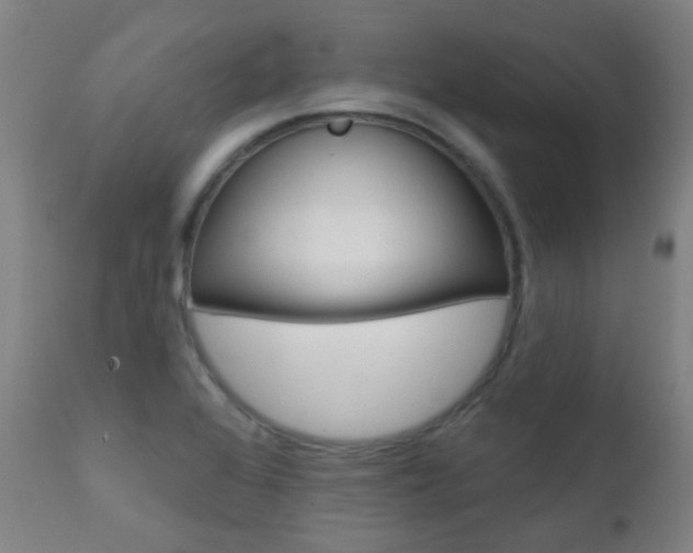X0000111611368200907171029
