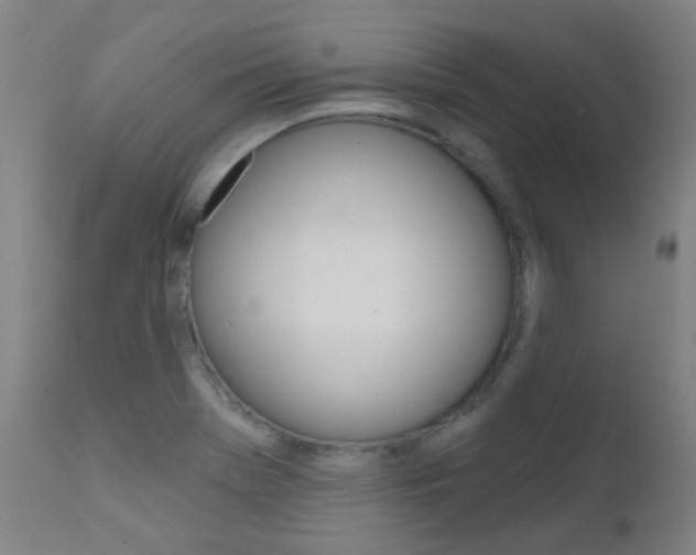 X0000111611369200907171029