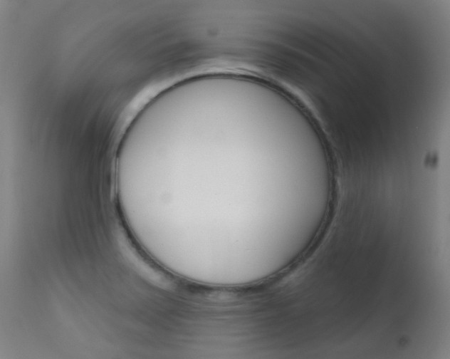 X0000111611371200907171029