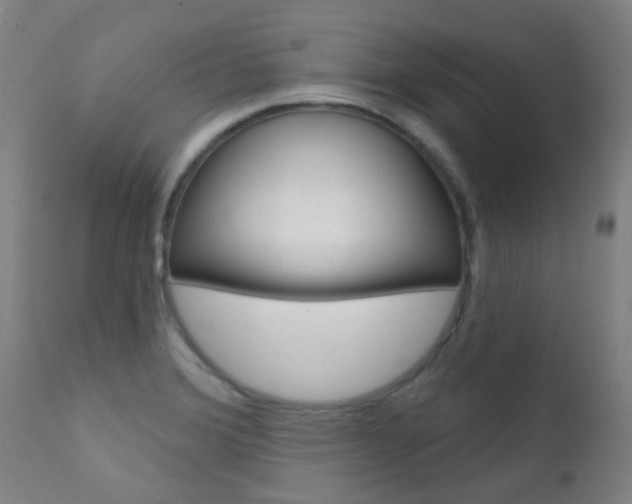 X0000111611372200907171029