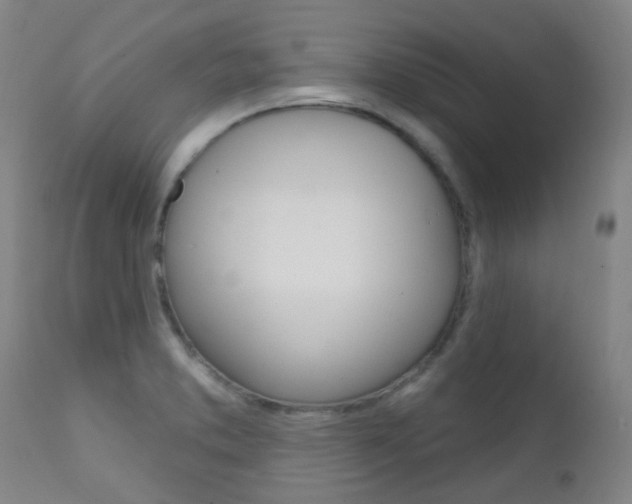 X0000111611373200907171029