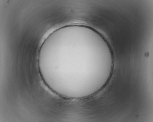 X0000111611374200907171029