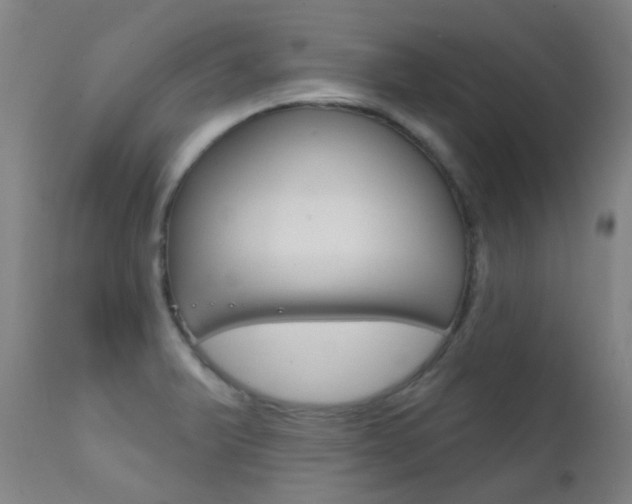 X0000111611375200907171029