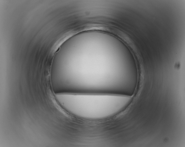 X0000111611377200907171029