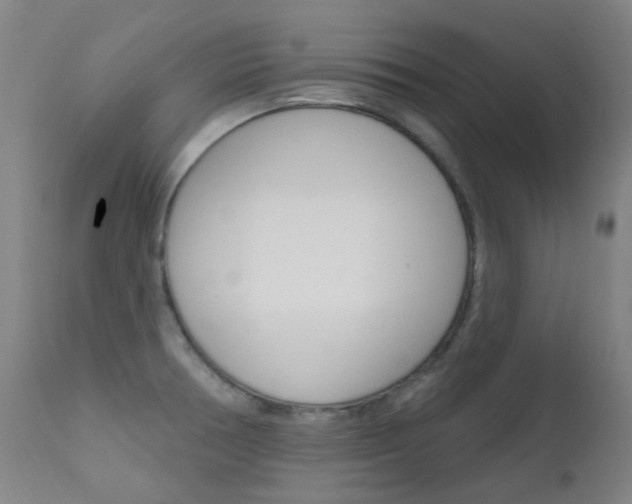 X0000111611378200907171029