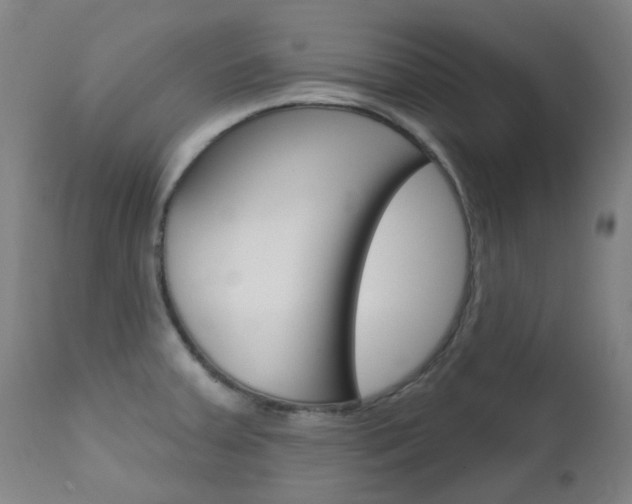X0000111611379200907171029