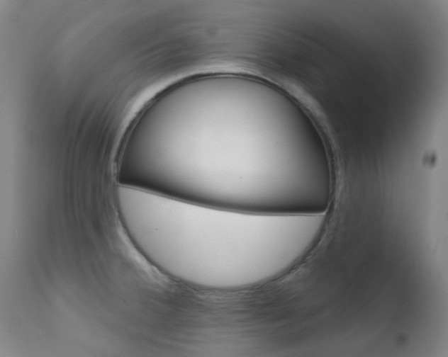 X0000111611380200907171029