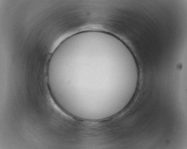 X0000111611382200907171029