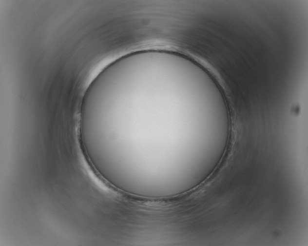 X0000111611383200907171029