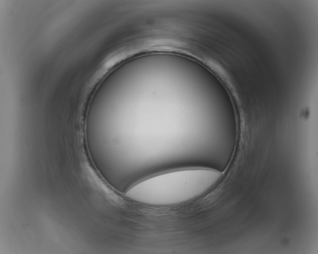 X0000111611384200907171029
