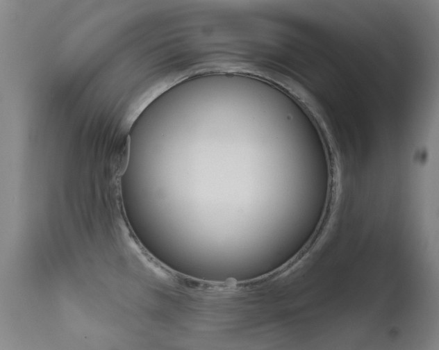X0000111611385200907171029