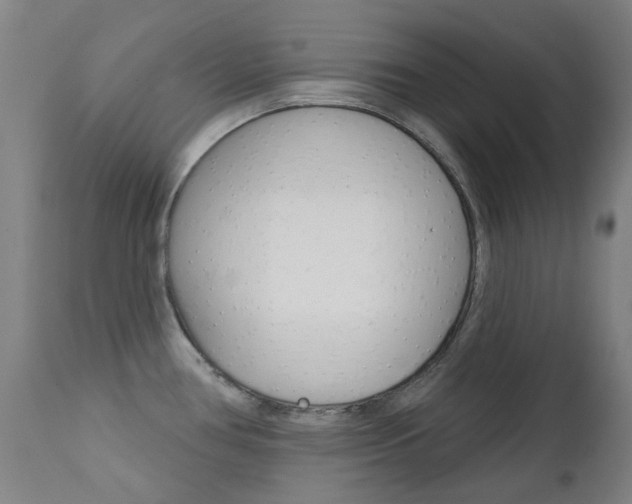 X0000111611386200907171029
