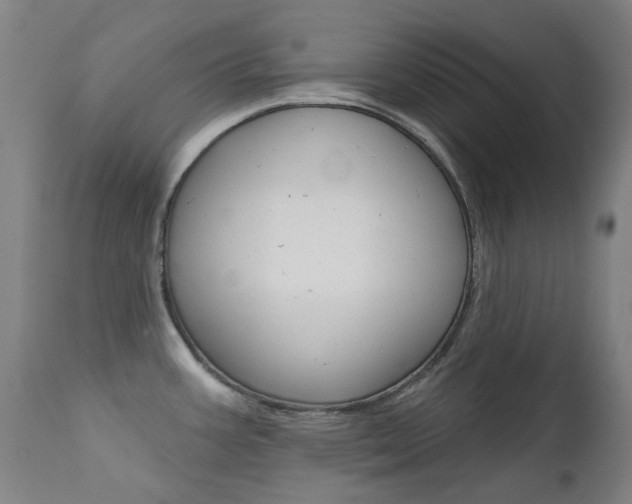 X0000111611387200907171029