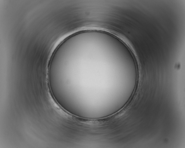 X0000111611388200907171029