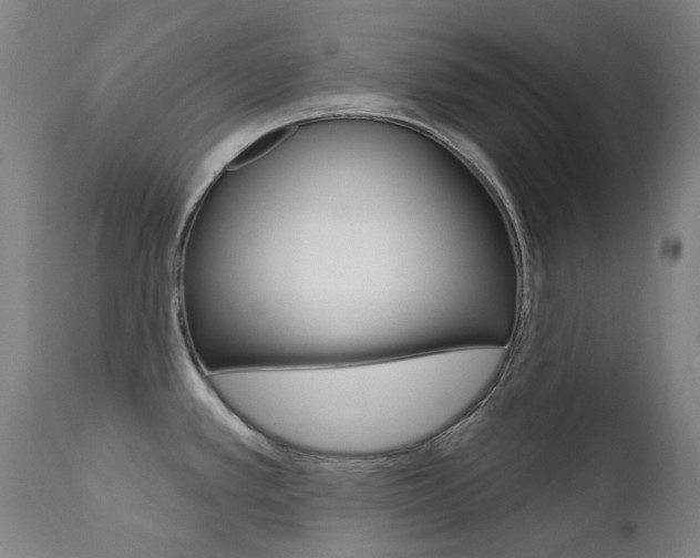 X0000111611389200907171029