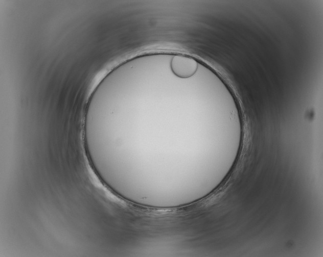 X0000111611390200907171029