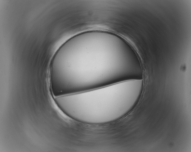 X0000111611391200907171029