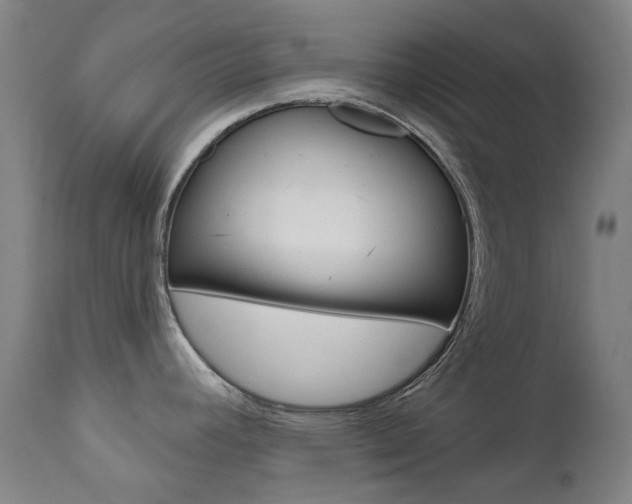 X0000111611392200907171029