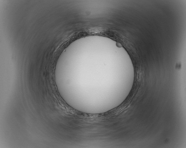 X0000111611393200907171028