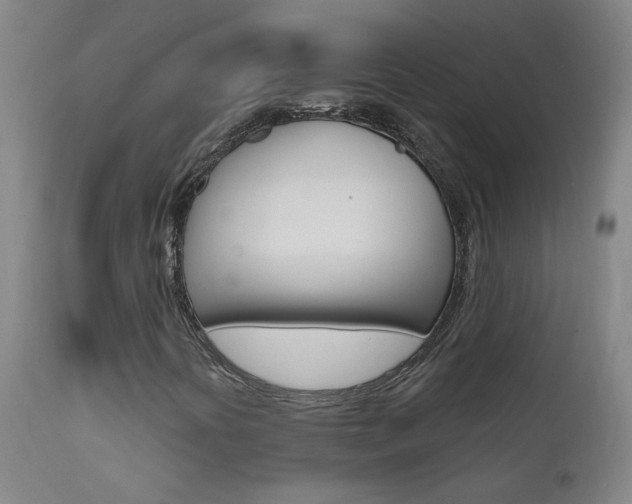 X0000111611394200907171028
