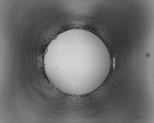 X0000111611395200907171028
