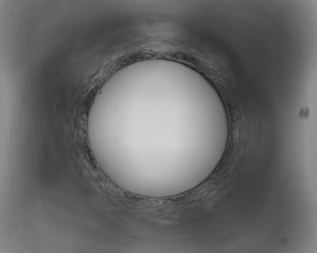 X0000111611397200907171028