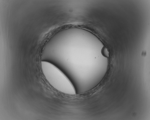 X0000111611398200907171028