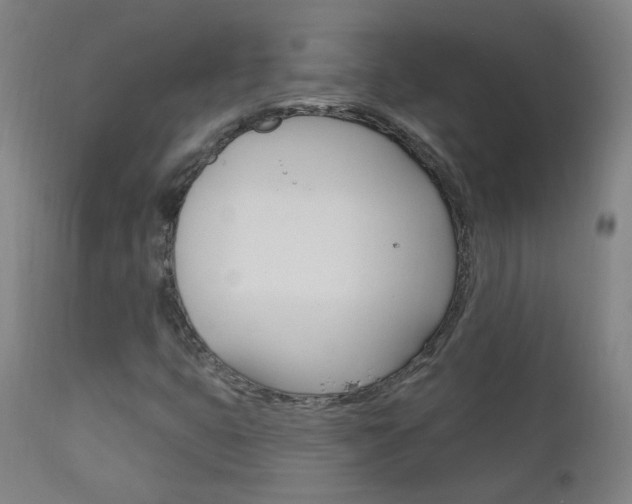 X0000111611399200907171028