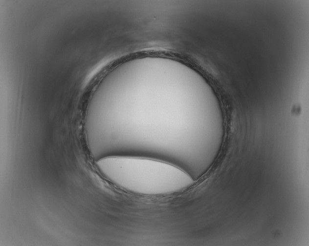X0000111611400200907171028