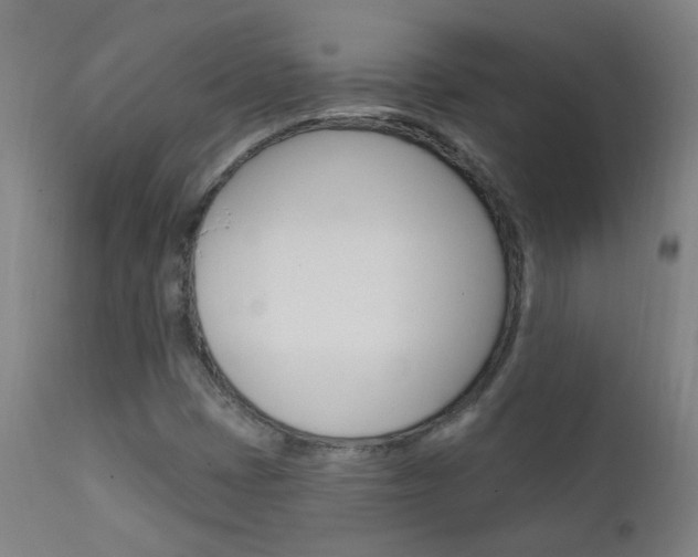 X0000111611401200907171028