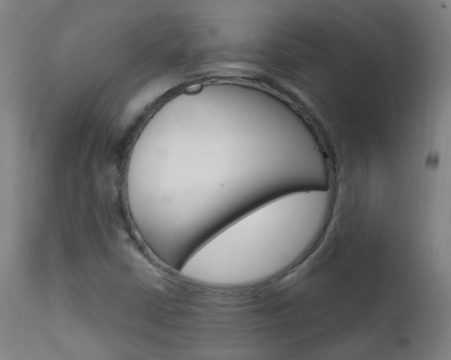 X0000111611402200907171028