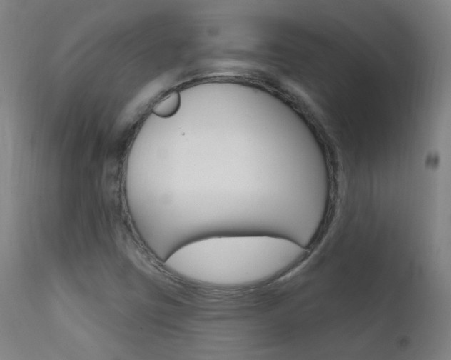X0000111611403200907171028