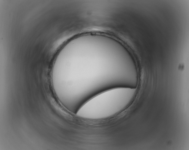 X0000111611404200907171028