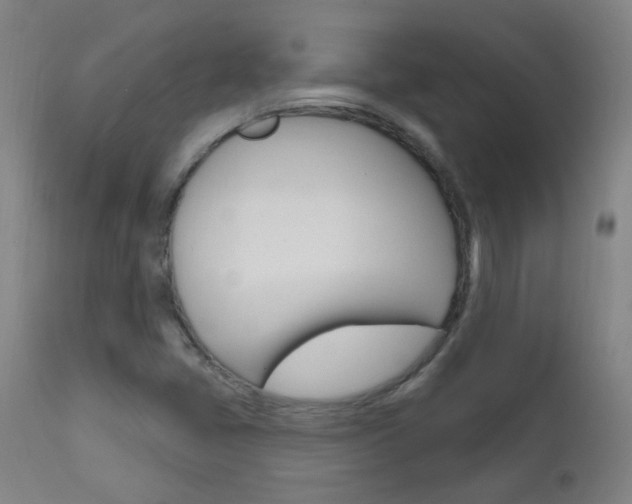 X0000111611405200907171028