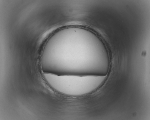 X0000111611406200907171028
