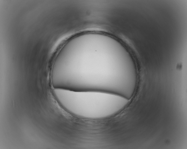 X0000111611408200907171028