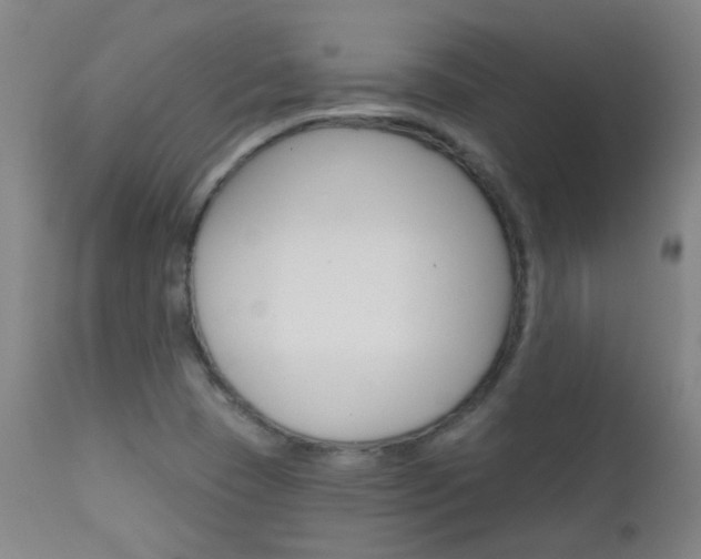 X0000111611409200907171029