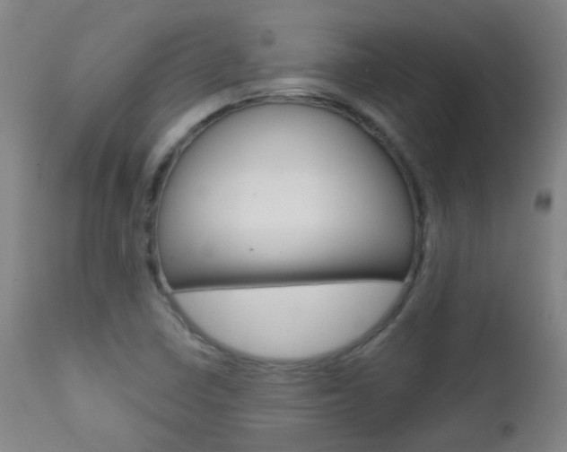 X0000111611410200907171029