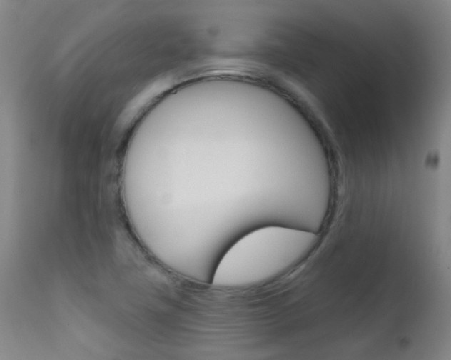 X0000111611411200907171029