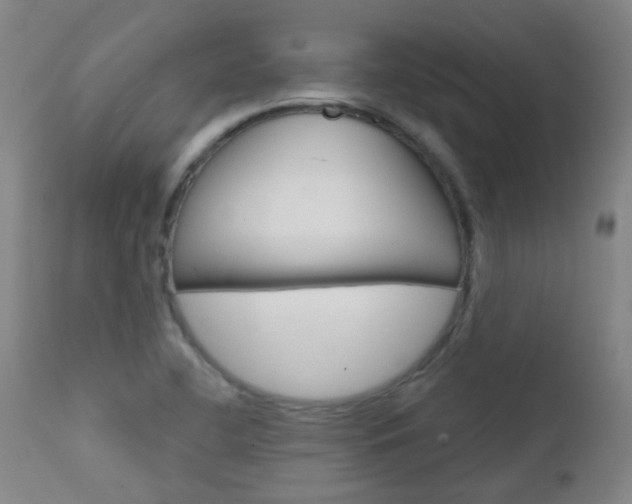 X0000111611412200907171029