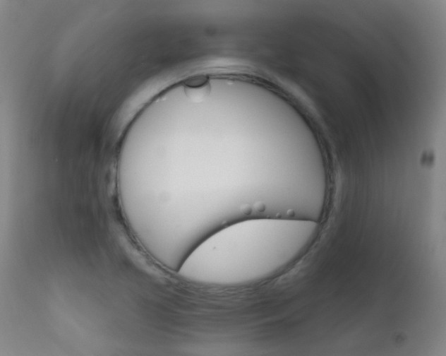 X0000111611413200907171029