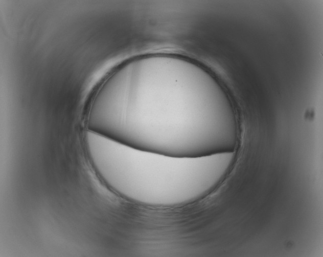 X0000111611414200907171029