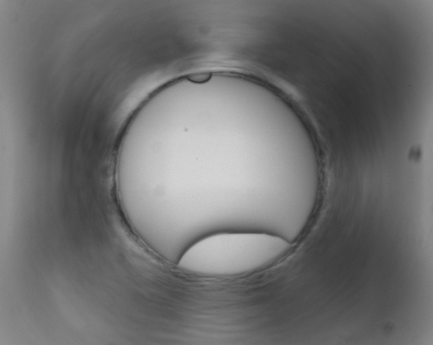 X0000111611415200907171029