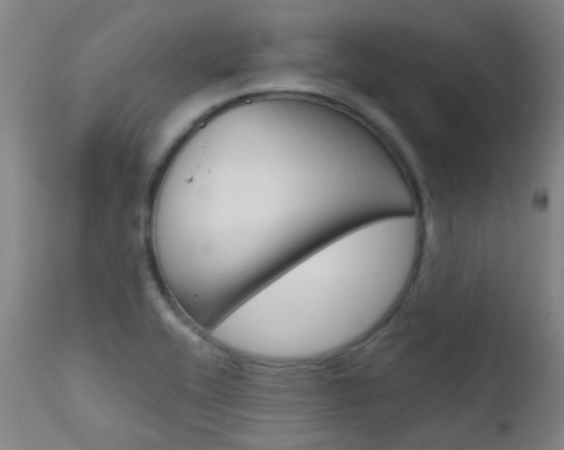 X0000111611416200907171029