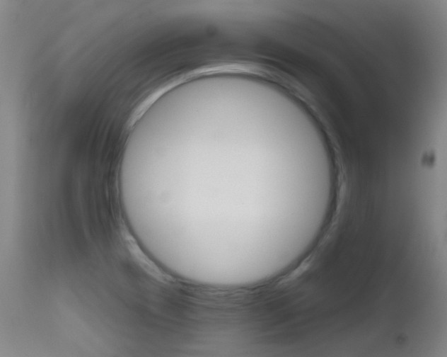 X0000111611417200907171029